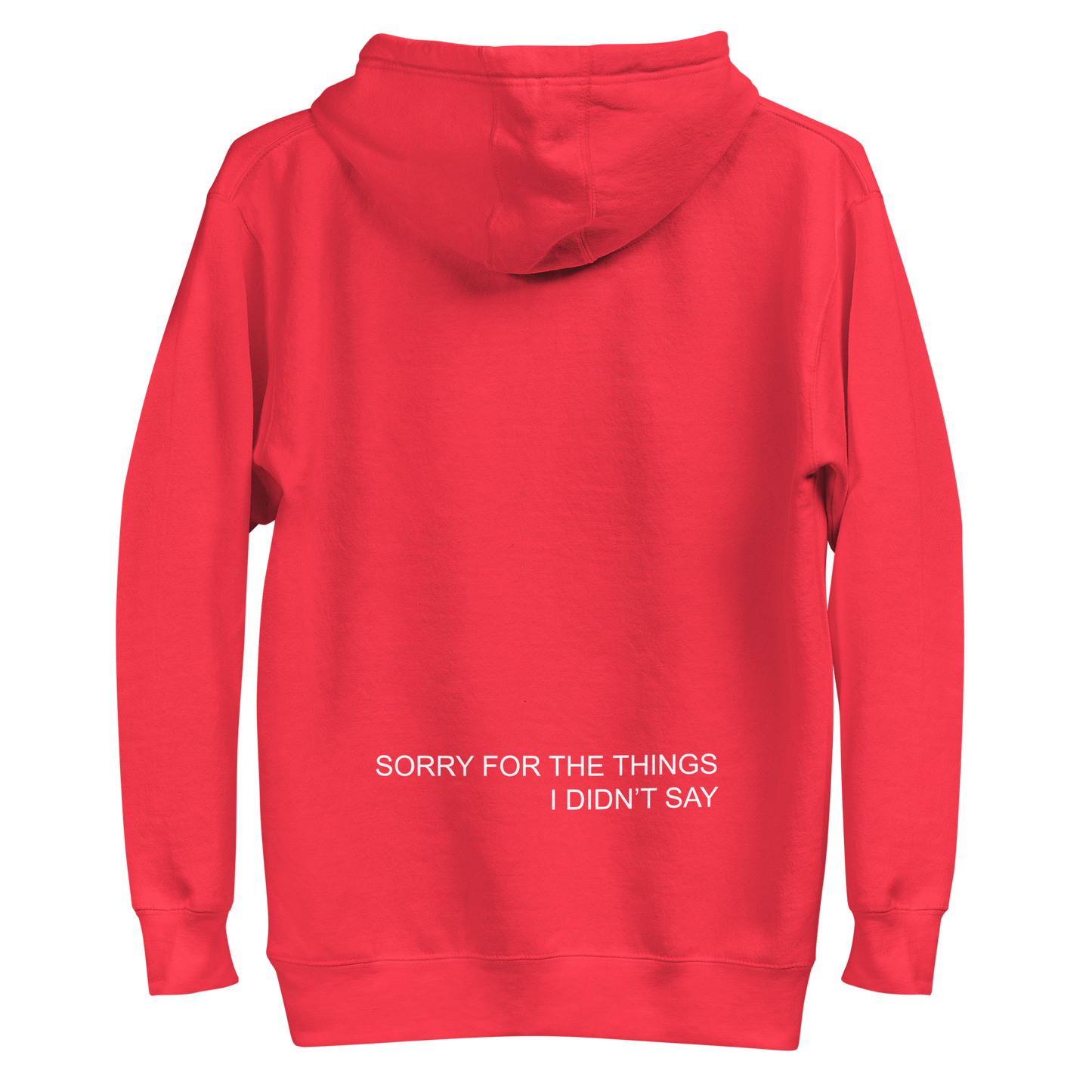 SORRY FOR THE THINGS I DIDN'T SAY HOODIE